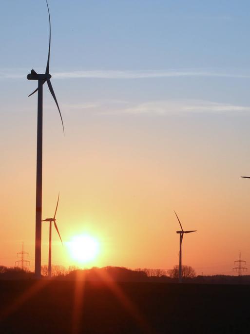 Sonniger Blick auf einen Windpark.
